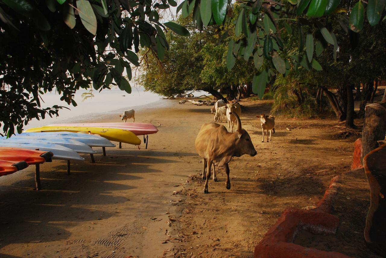 Ecolodge de Simal Exterior foto